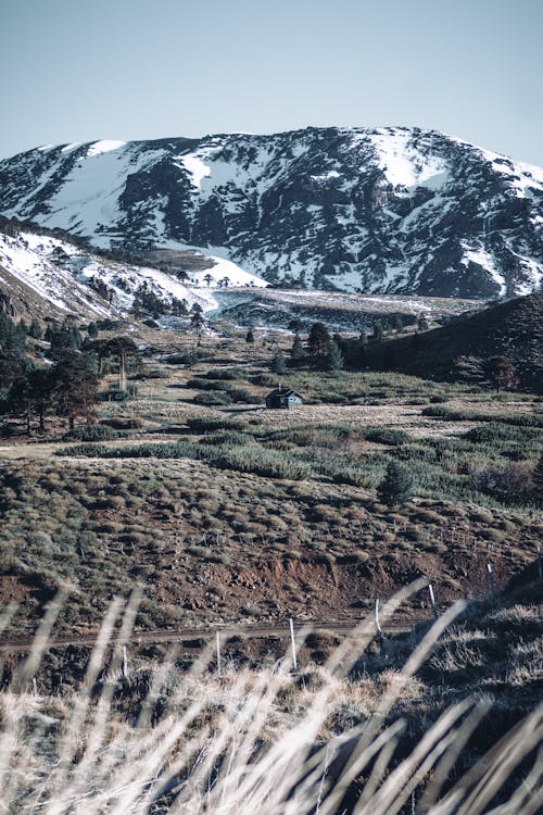 Foto profissional grátis de cenário, colina, com frio