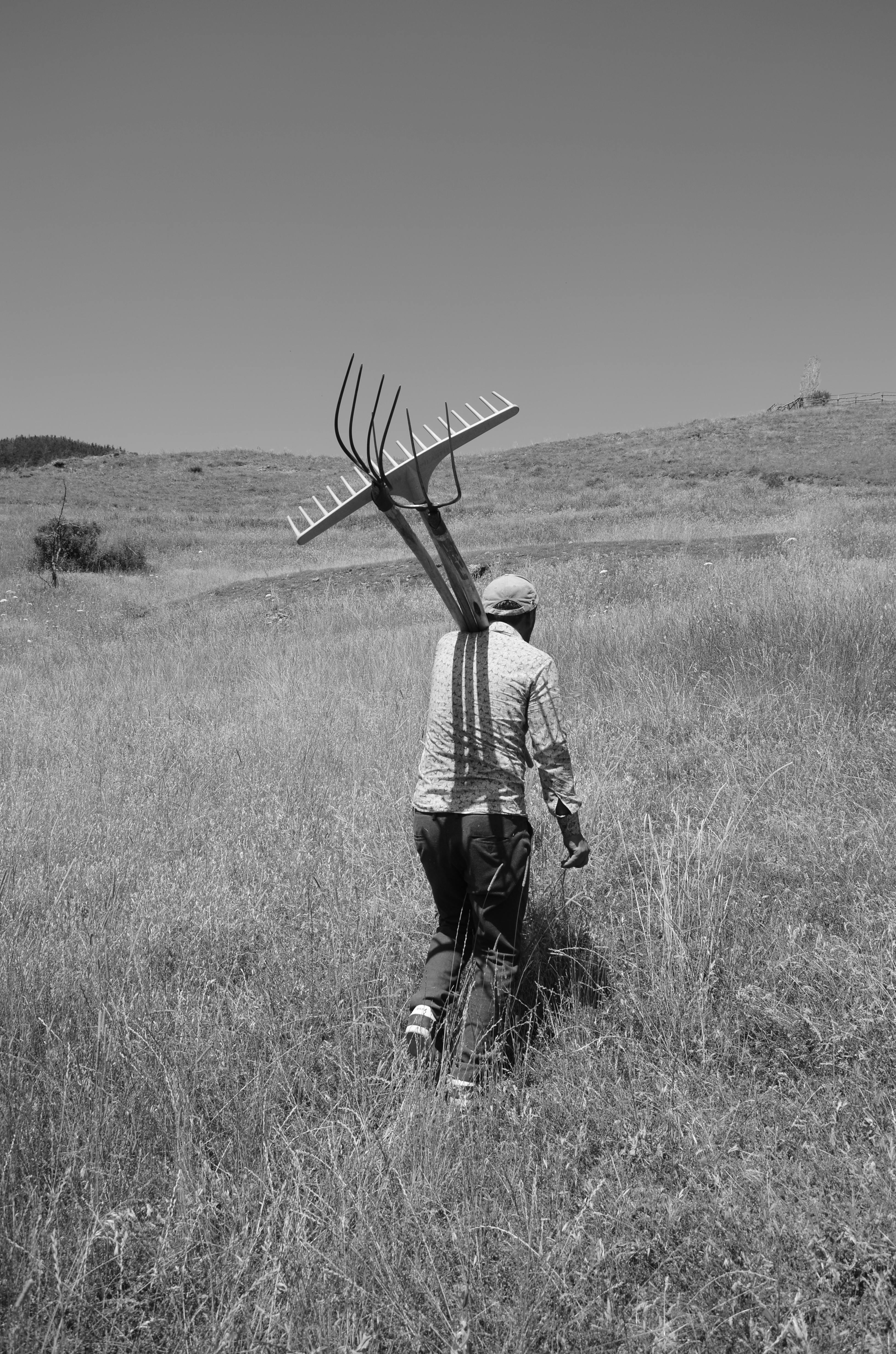 Farmer Walking with Rake and Forks · Free Stock Photo
