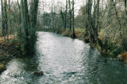 Ilmainen kuvapankkikuva tunnisteilla joki, luonto, puisto