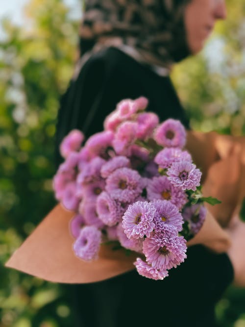 Close up of Purple Flowers