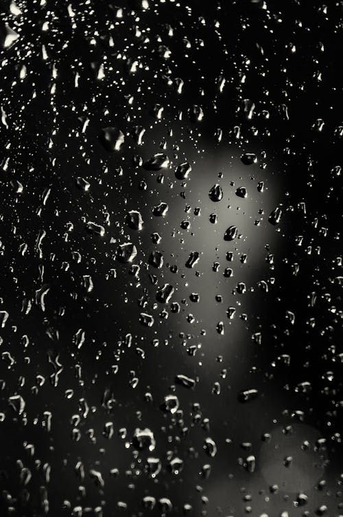 Close-Up Photo of Droplets On Glass