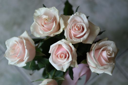 Close-up of elegant white and pink roses in bloom, capturing natural beauty.
