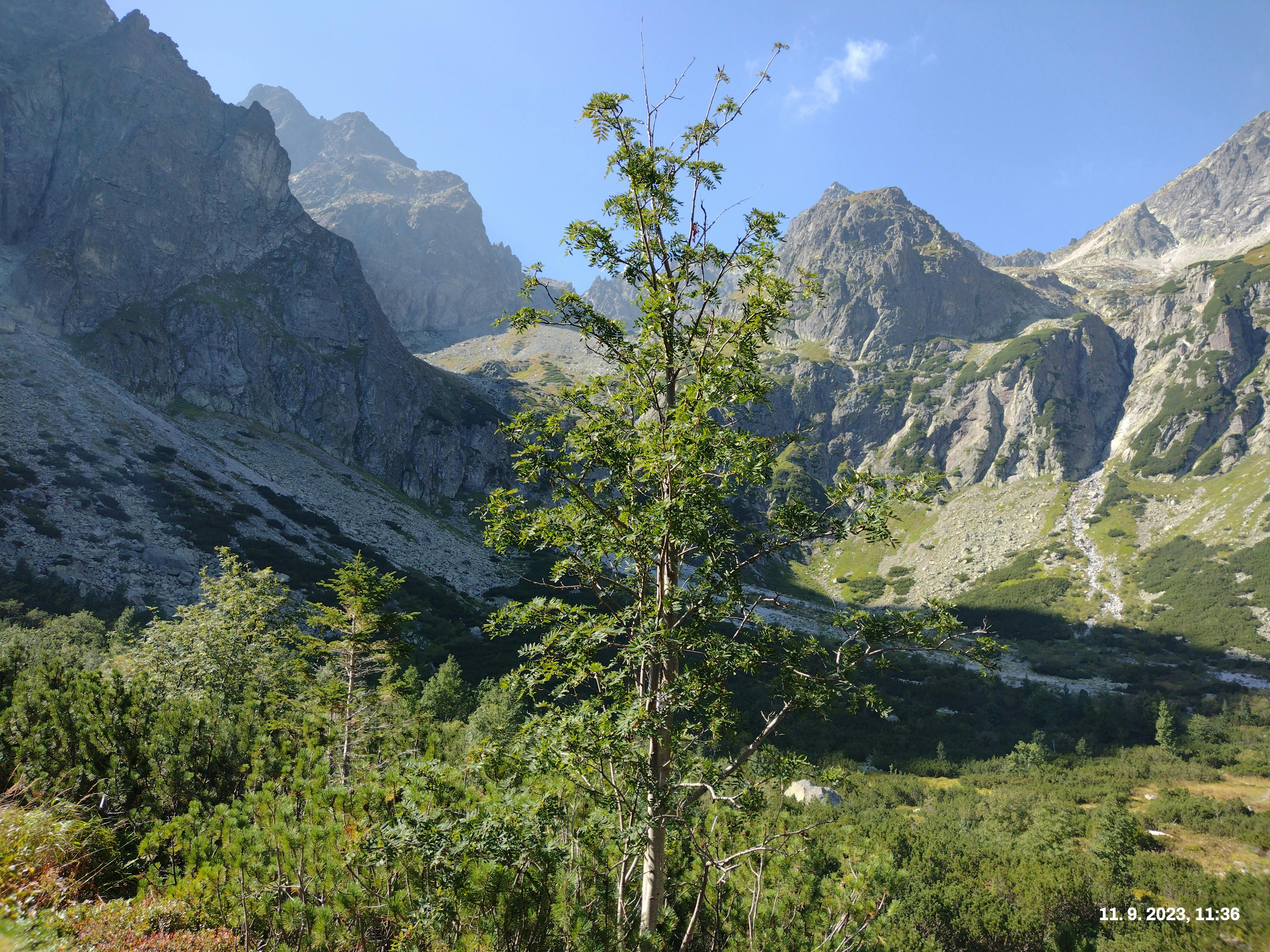 해라스 라스베이거스 호텔 카지노 입구