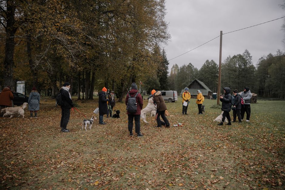 A community gathering where people enjoy walking their dogs in a scenic autumn park.