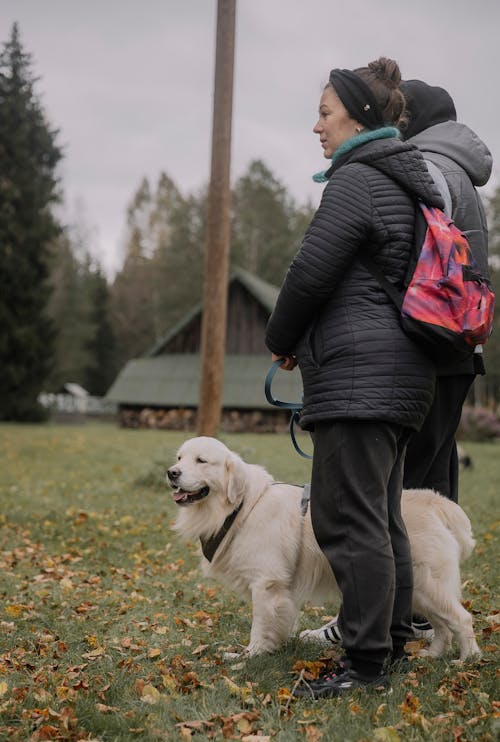 People with a Golden Retriever in the Park in Autumn 