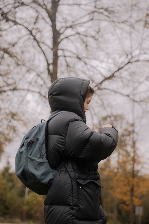 Immagine gratuita di autunno, bosco, cappuccio