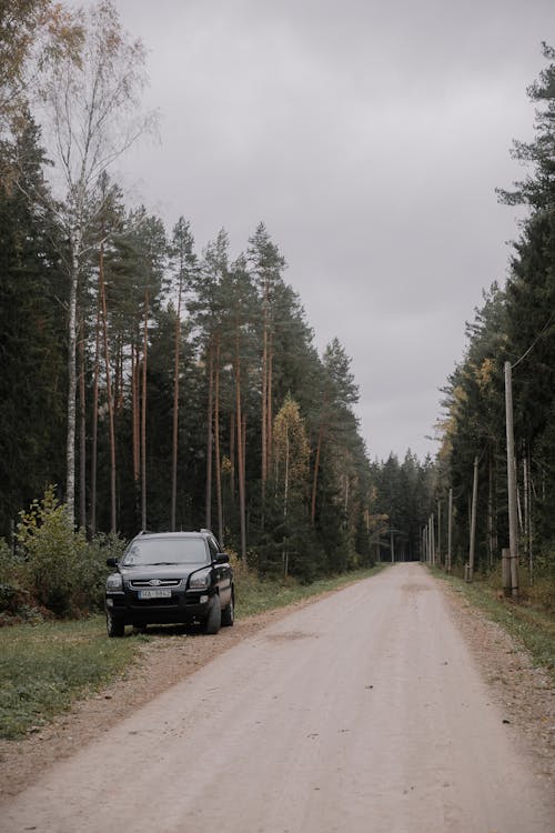 A Car Parked on the Side of the Road in Forest