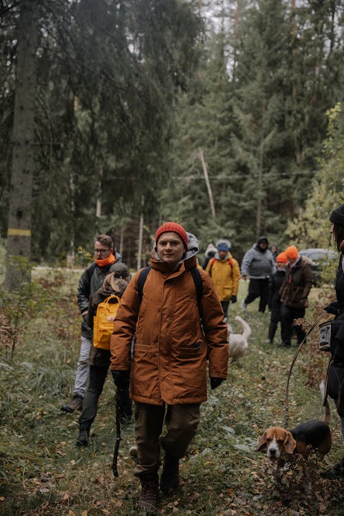 Foto d'estoc gratuïta de bosc, fent excursionisme, fusta