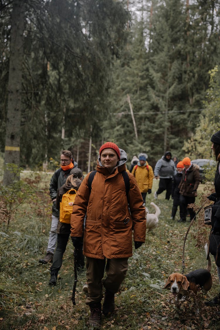 People Hiking In A Forest 