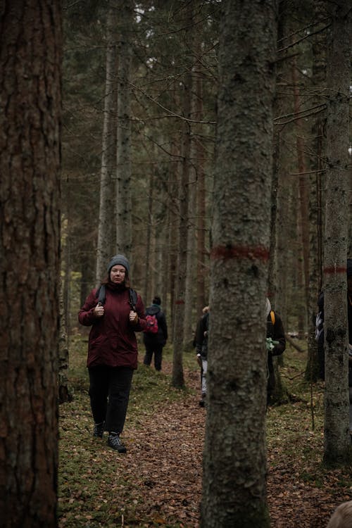 People Strolling in a Forest 