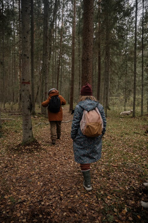 People Walking in the Forest in Autumn