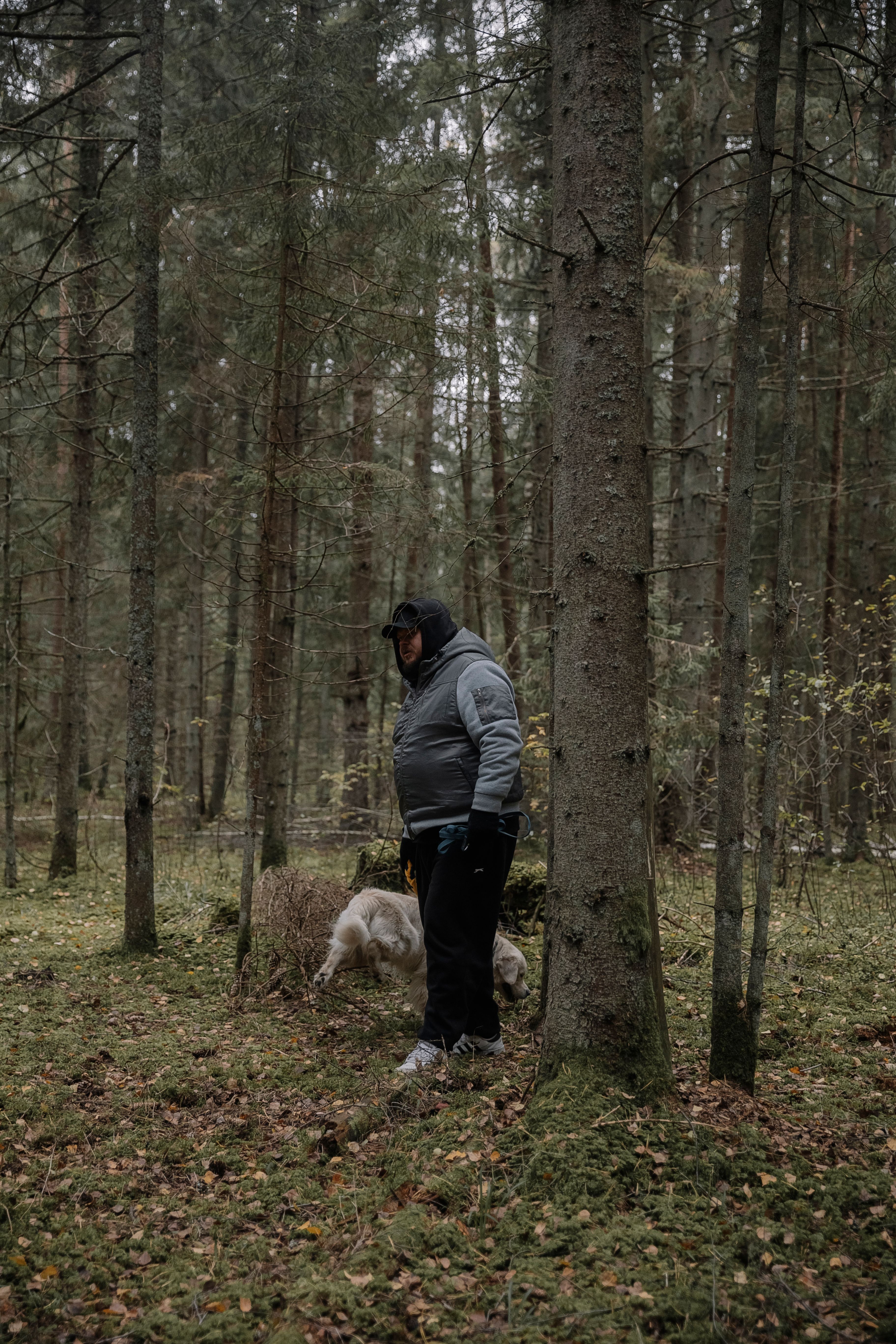 Man with a Dog in the Forest · Free Stock Photo