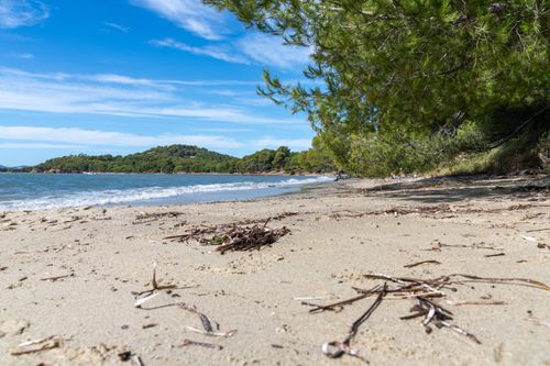Free A serene beach with soft sand, gentle waves, and lush green trees. Perfect for a nature escape. Stock Photo