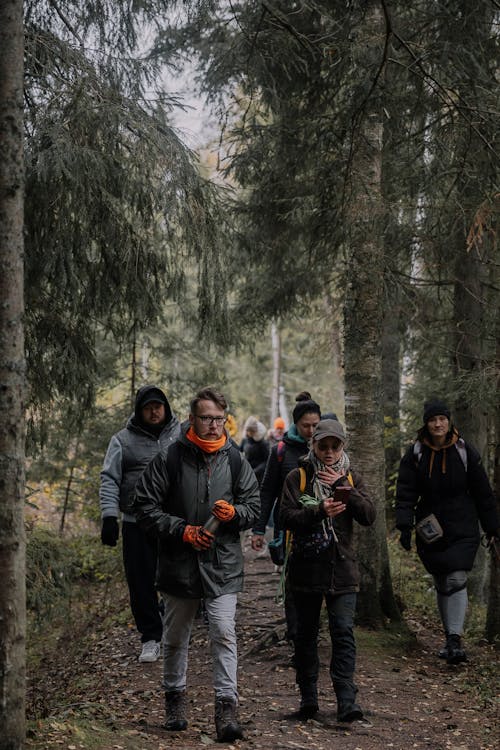 Foto profissional grátis de andando, árvores, aventura