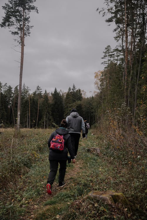 Foto profissional grátis de andando, árvores, aventura