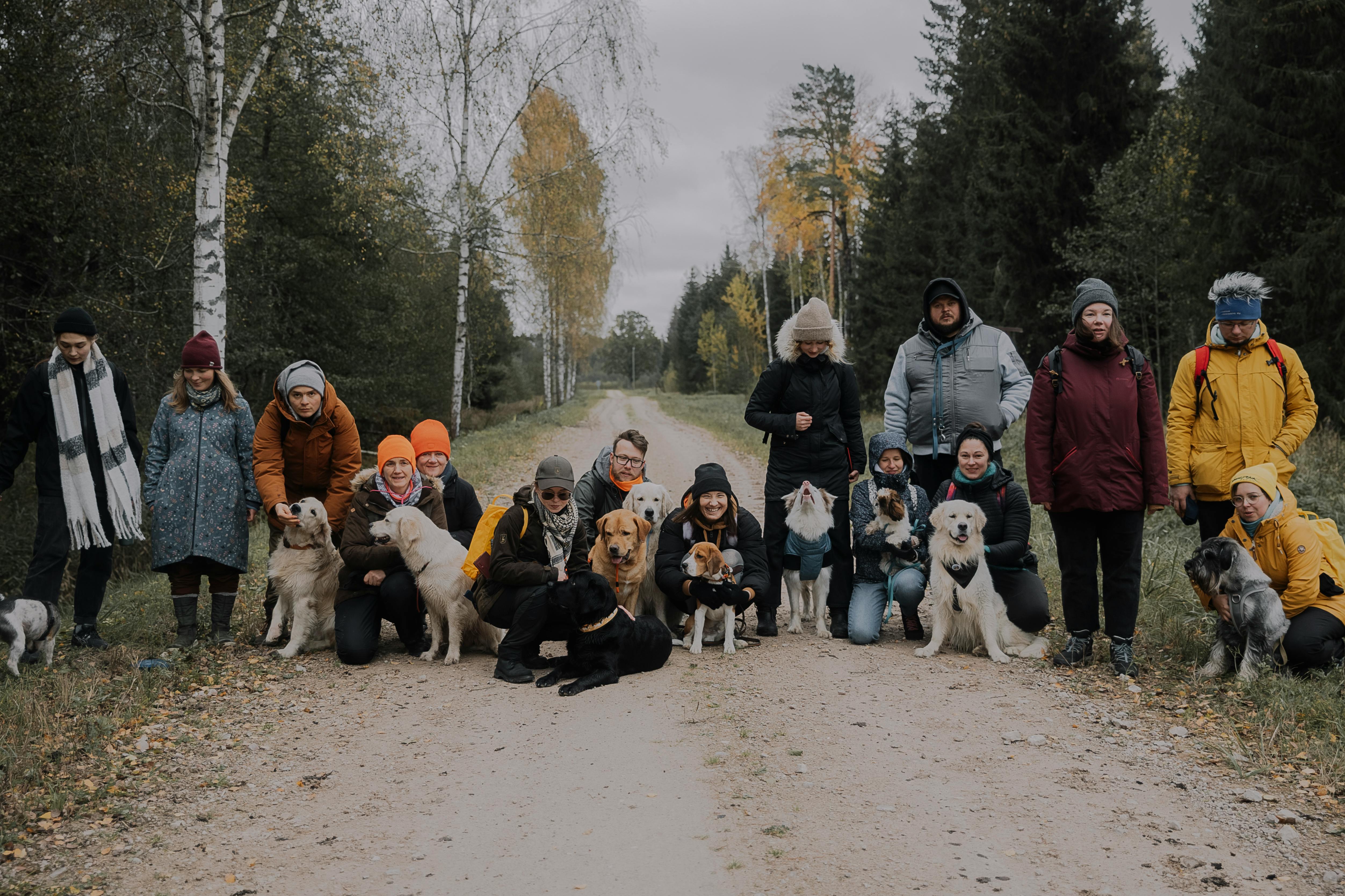 Decoding Canine Behavior Understanding Why Dogs Stand on You