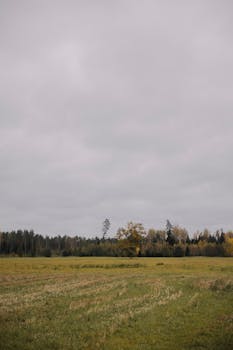 Serene rural landscape with an open grassy field and overcast sky, perfect for nature enthusiasts.