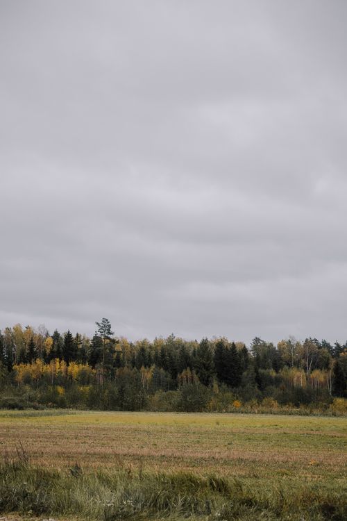 Free Tranquil autumn landscape featuring a lush green field and a forest under cloudy skies. Stock Photo