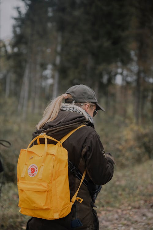 Ilmainen kuvapankkikuva tunnisteilla kävely, lomalla, metsä