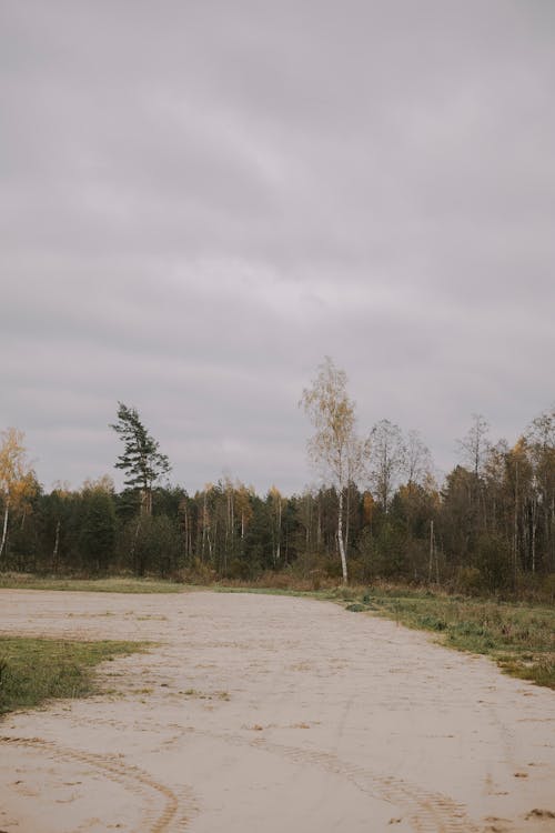 농촌의, 비포장 도로, 수직 쐈어의 무료 스톡 사진