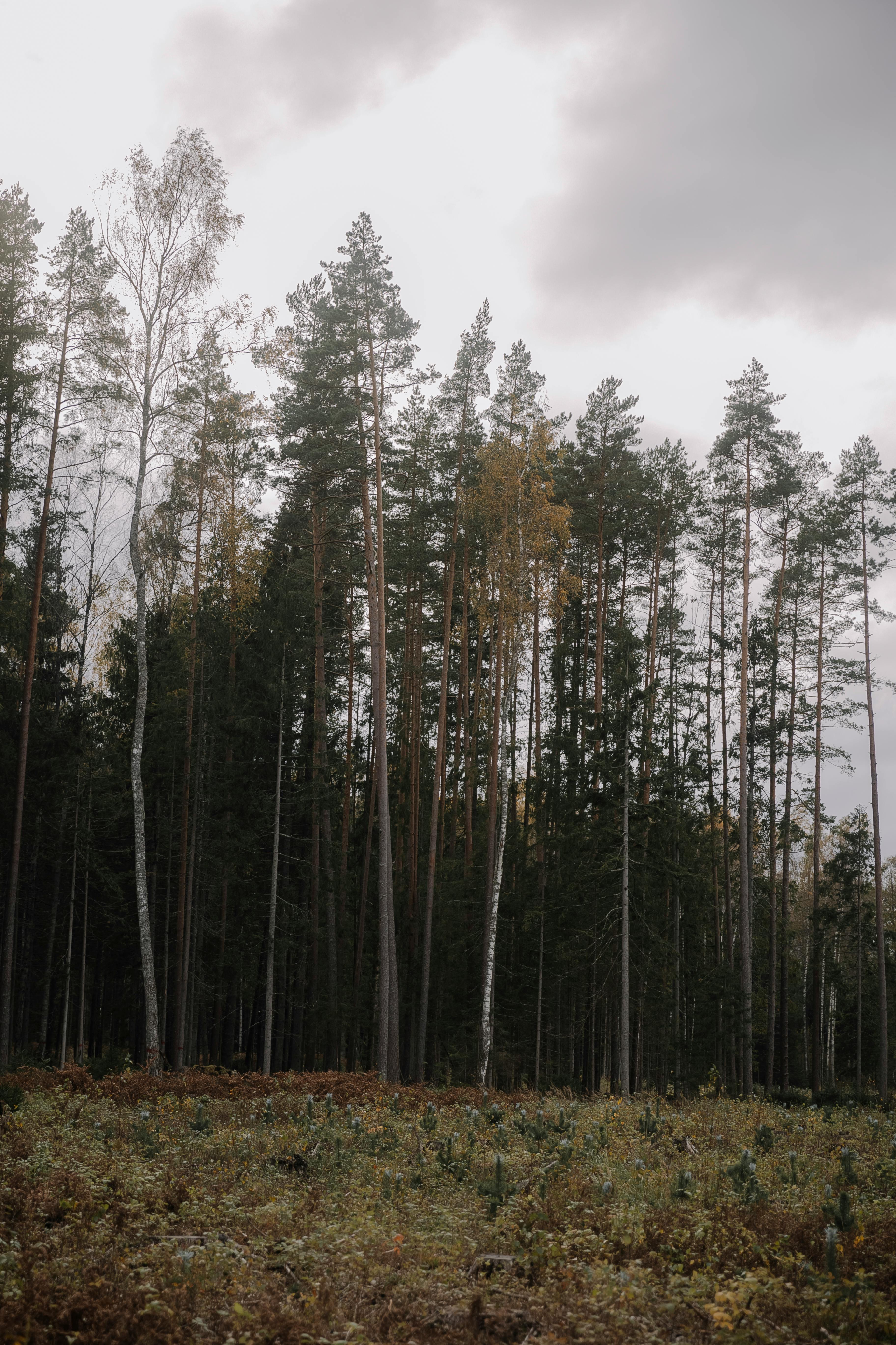Fenster eines Gebäudes in Nürnberg, Deutschland