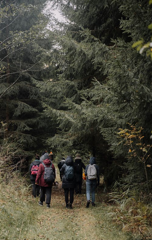 Group on a Hike in the Woods