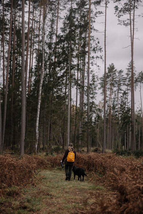 Woman Walking Dog in Forest