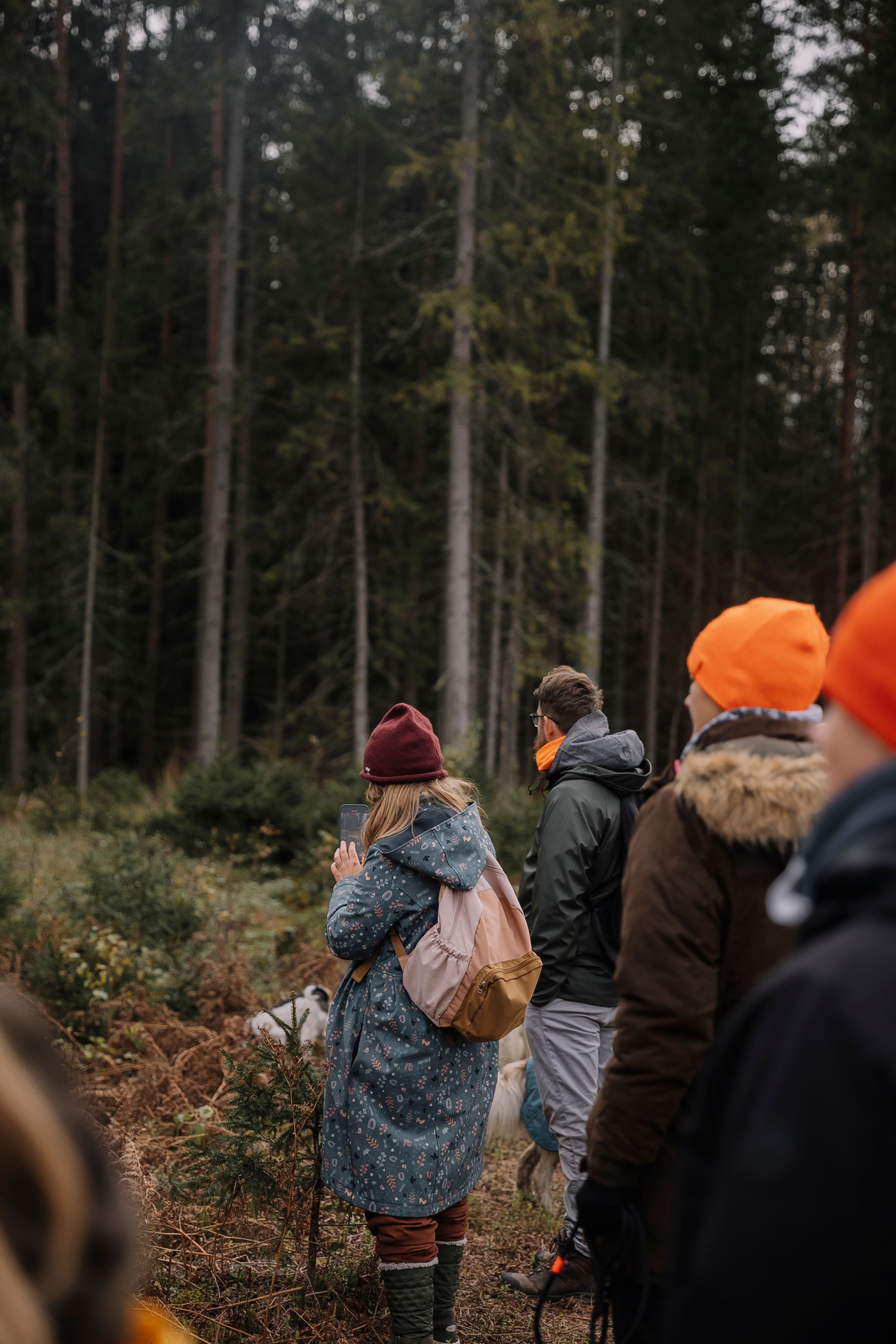 People in Jackets in Forest · Free Stock Photo
