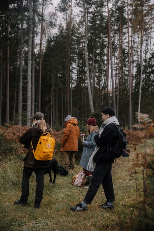 Fotobanka s bezplatnými fotkami na tému batohy, bundy, chladný