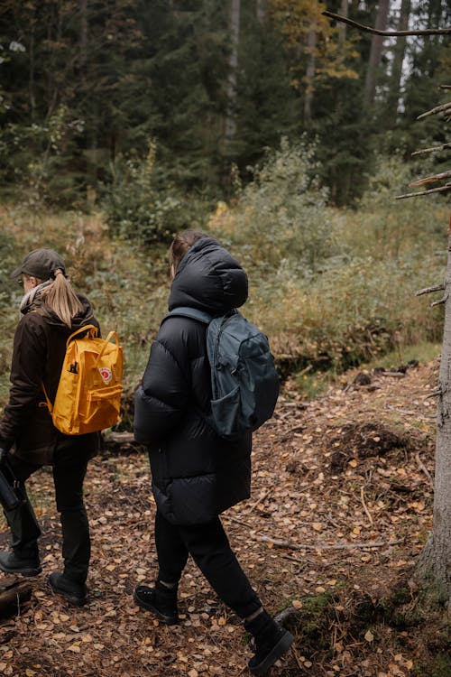Women in Jackets Hiking in Forest