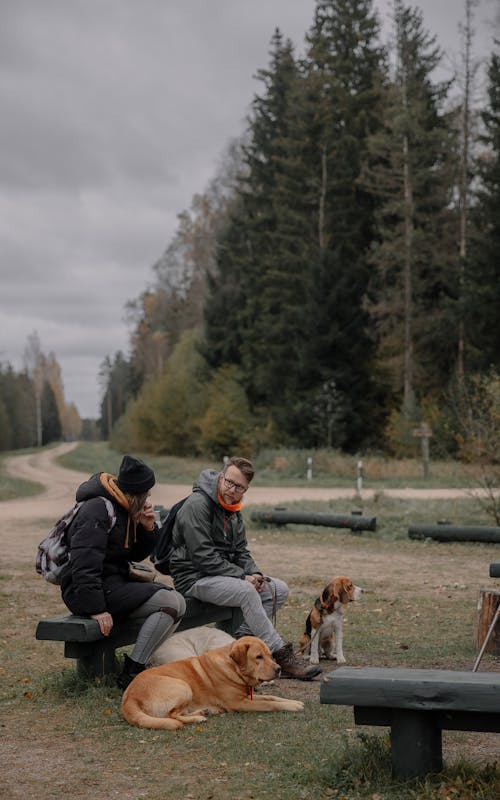 Two Campers with Dogs Sitting on a Bench