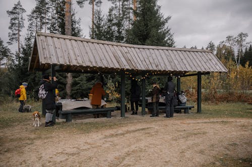 People Camping in Autumn under a Wooden Canopy