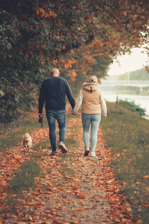 A Couple with a Dog Walking an Autumn Alley