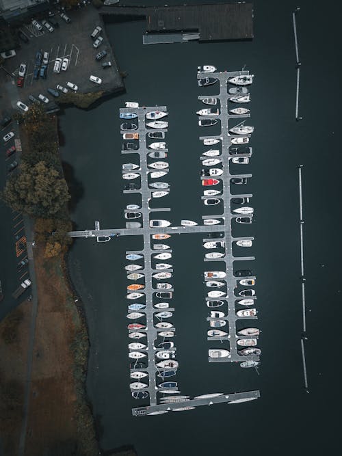 Motorboats Moored in Marina