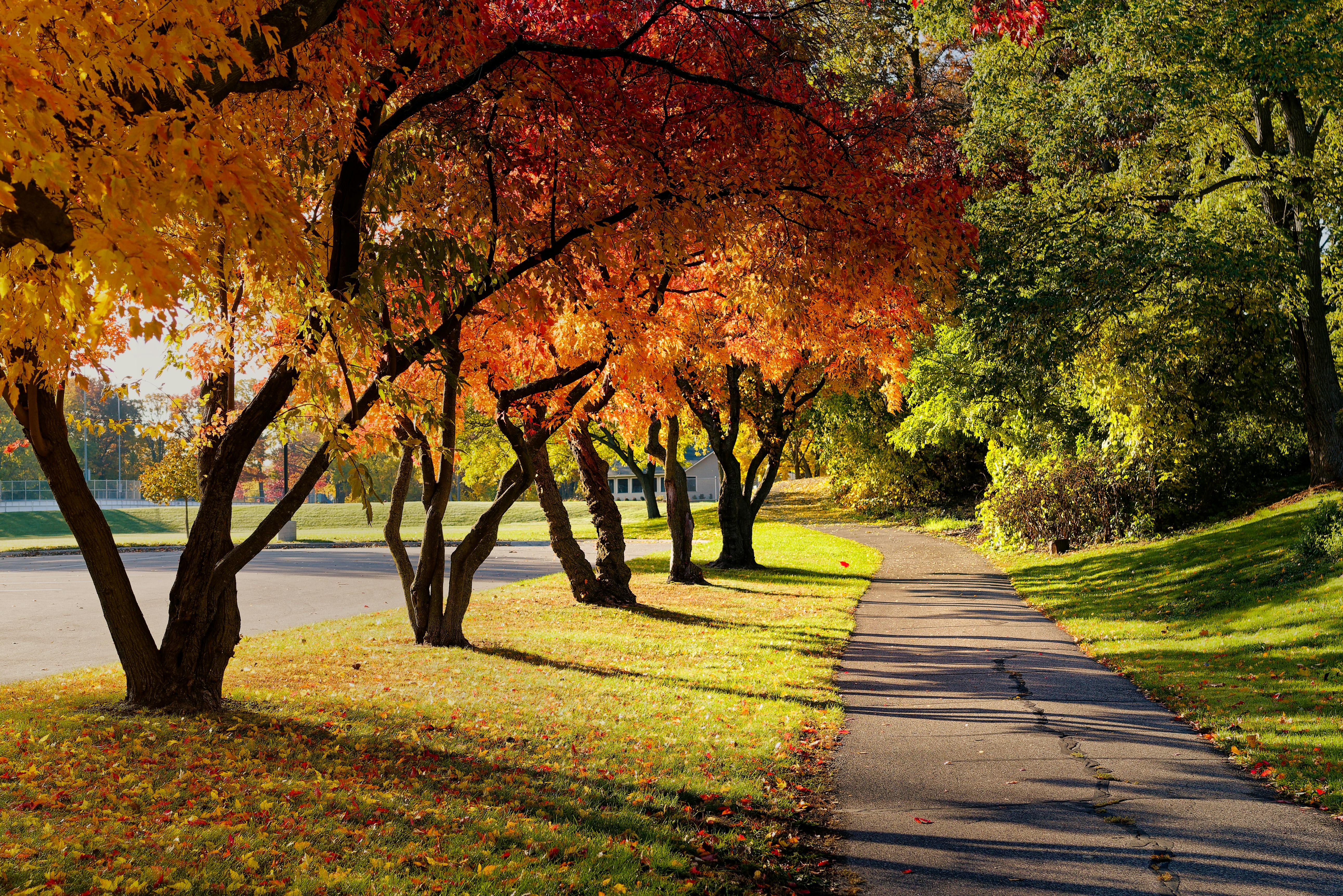 Minnesota’s CISOs: Homegrown Talent Securing Finance, Insurance, and Beyond — Photo by Adriaan Greyling on Pexels