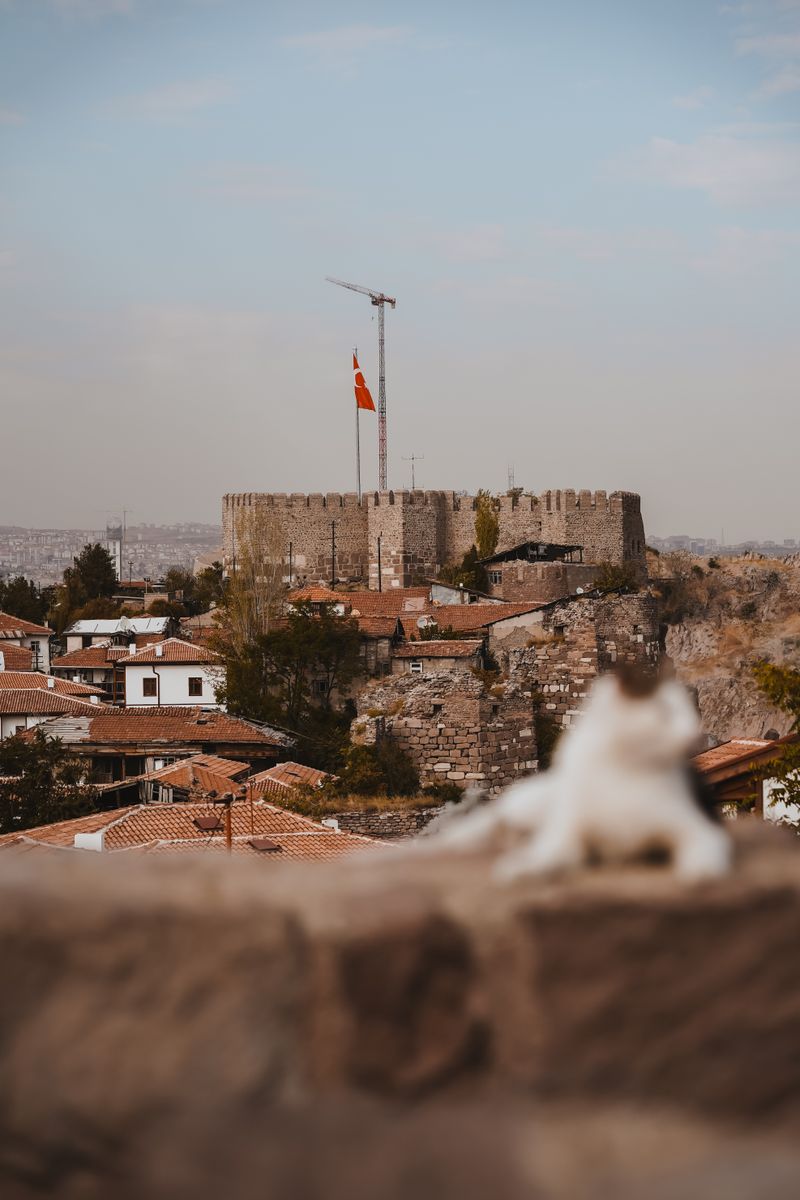 A scenic view of Ankara Castle with a Turkish flag, a cat in the foreground.