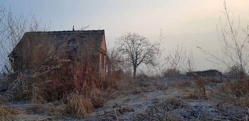 Imagine de stoc gratuită din casă veche, ceață, frig