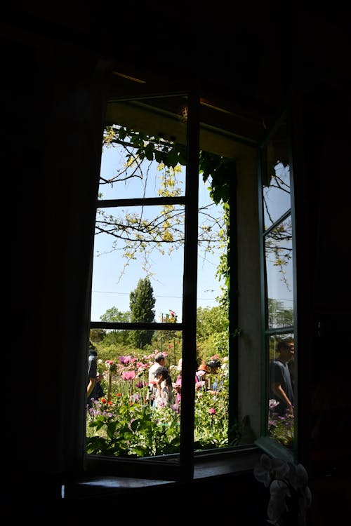 @dış mekan, büyük pencereler, Çiçek bahçesi içeren Ücretsiz stok fotoğraf