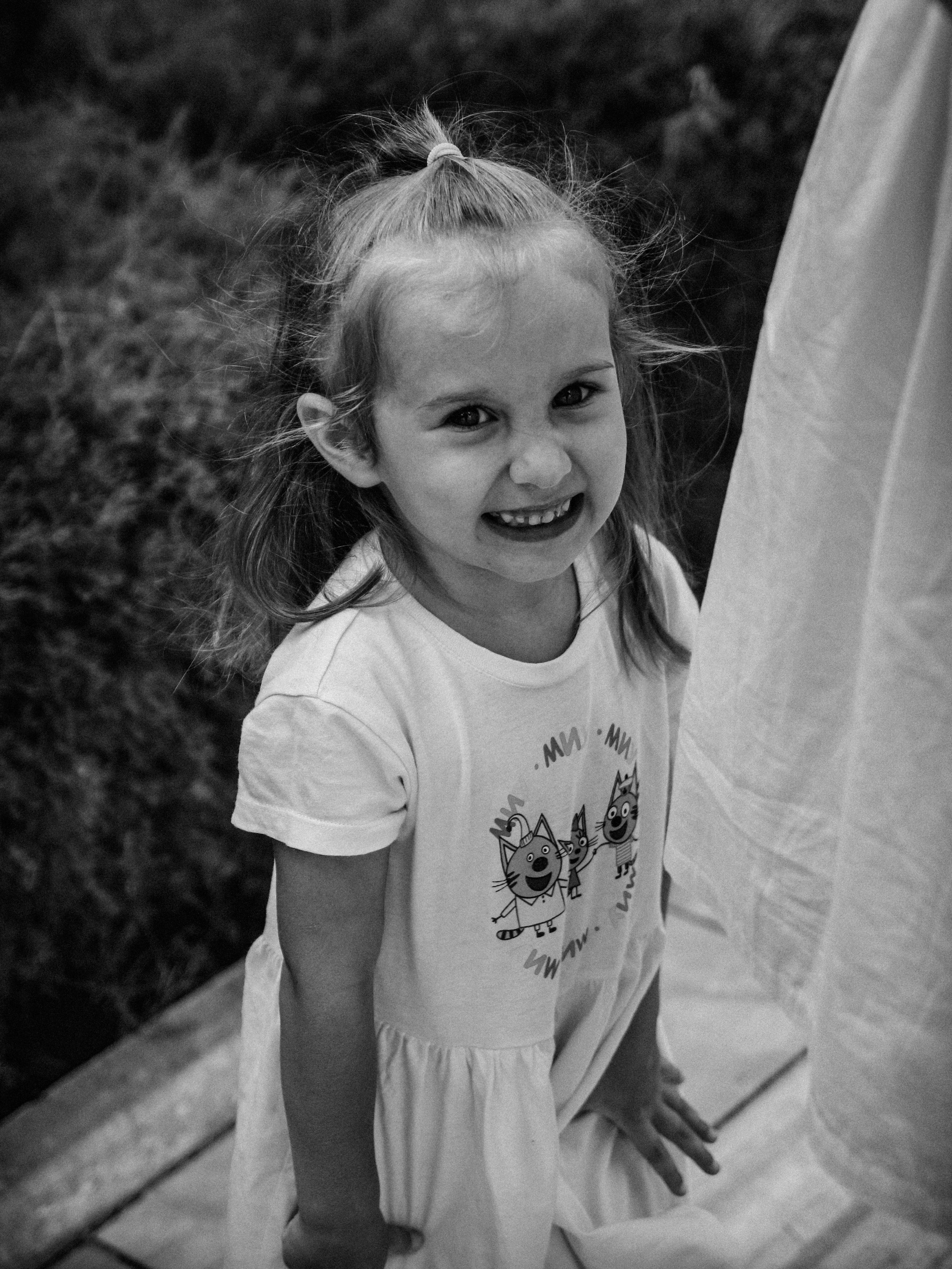 nainen-teeth-photos-download-the-best-free-nainen-teeth-stock-photos