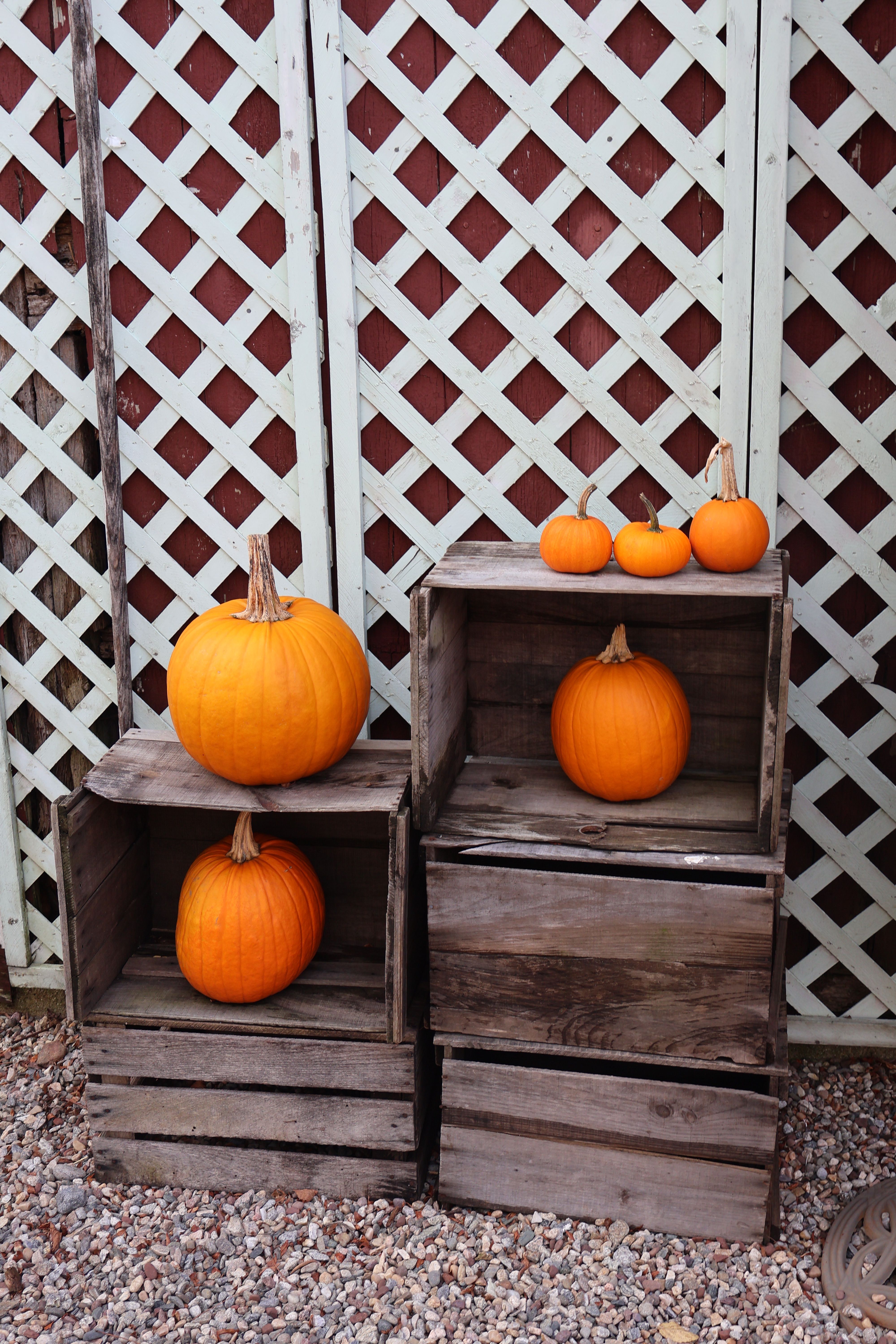 Yellow Pumpkins on Wooden Boxes · Free Stock Photo