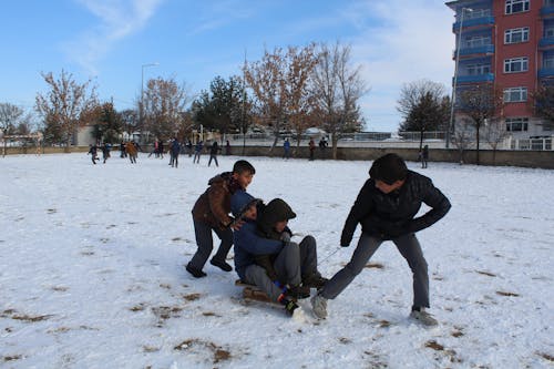 Imagine de stoc gratuită din băieți, distracție, frig