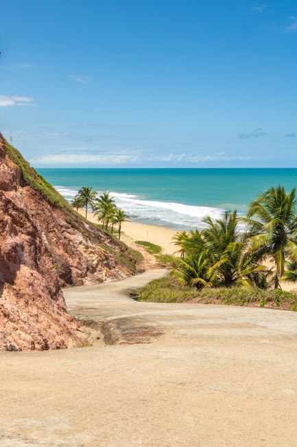 Stunning tropical beach scene with palm trees, golden sand, and a clear blue sky, perfect for travel and nature themes.