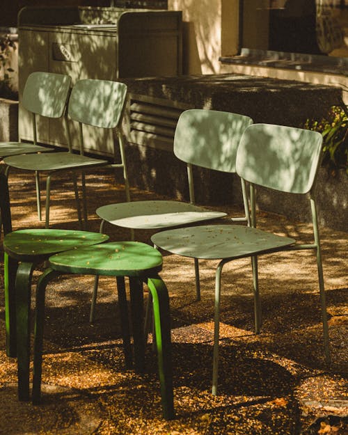 Row of Cafe Chairs Standing under a Tree Shade