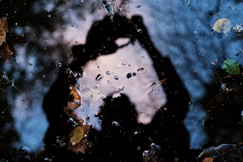 Reflection of a Man in Lake 