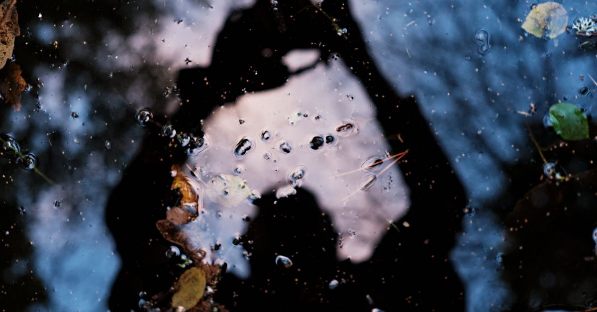 Reflection of a Man in Lake · Free Stock Photo