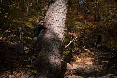 A Man Holding a Tree Trunk