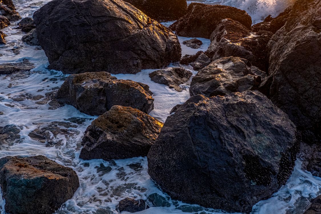 Shore Rocks Intense Close up of Rocks on Sea Shore · Free Stock Photo