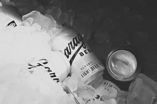 Základová fotografie zdarma na téma černobílý, ledové kostky, pivo