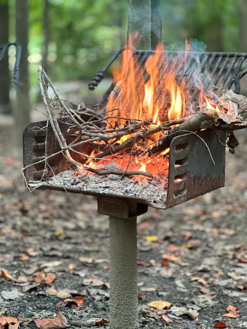 Foto stok gratis Abu, alat barbecue, api