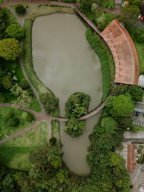 Foto stok gratis danau, kolam, musim panas